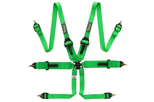 QSP - 6-punkti turvarihmad FHR Touring FIA - Roheline