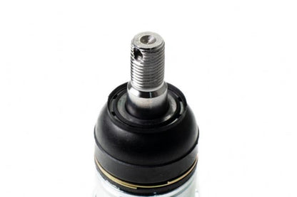Hardrace - Front Lower Ball Joint Honda