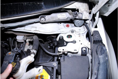 Hardrace – esitugi, Ford Fiesta